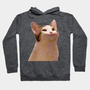 Cat meme Hoodie